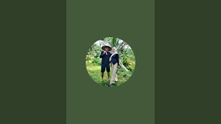 GOLD FLOWERS COST HUNDREDS OF THOUSANDS PER KILO