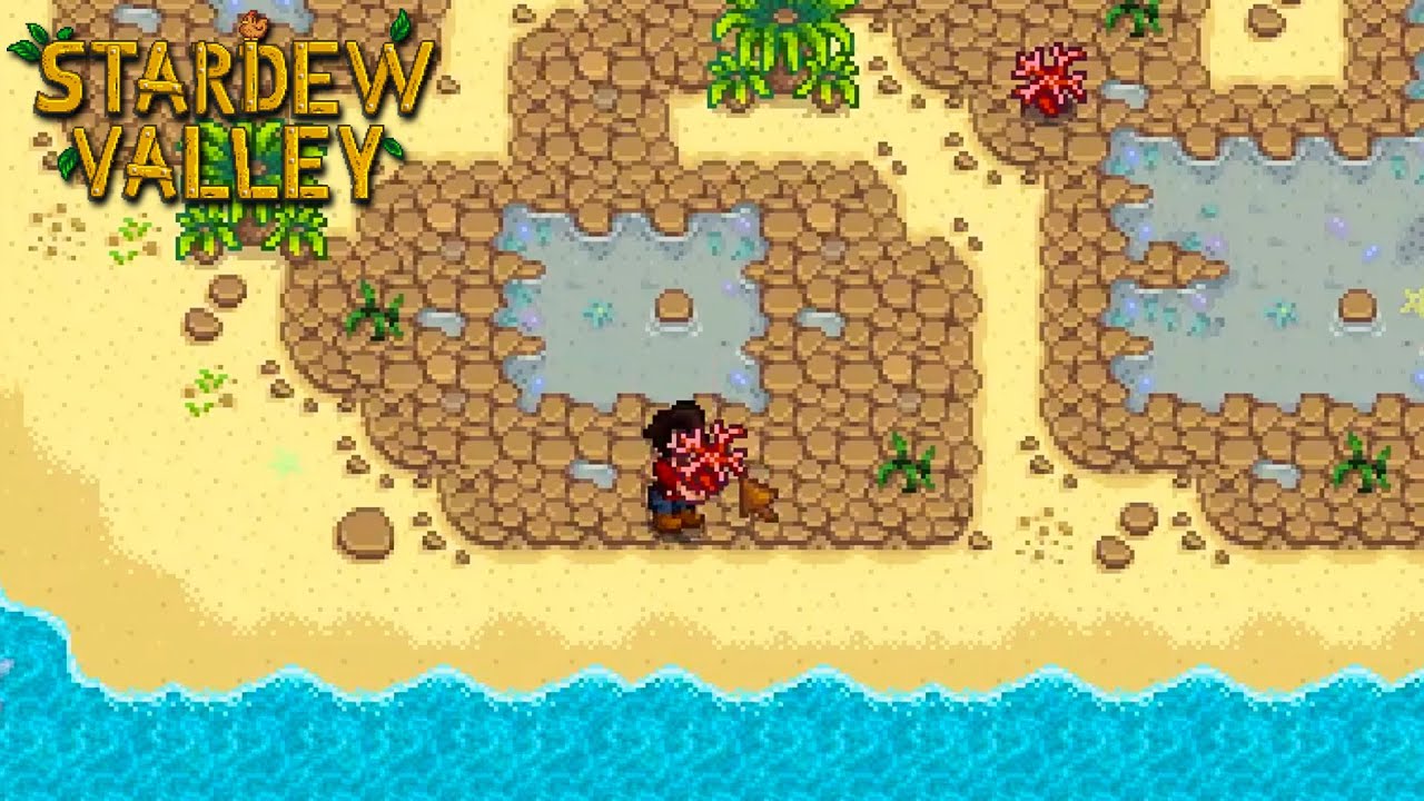 [3] Terumbu Karang Telah Didapatkan | Stardew Valley