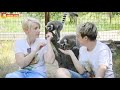 Новые видеооператоры Тайгана - лемуры Рикки и Тикки. Lemurs - videographers. Taigan.