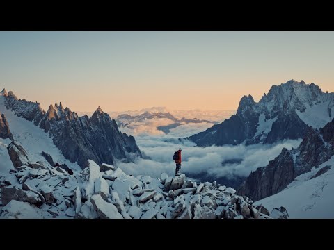 Tell Your Story | Black Forest Collective