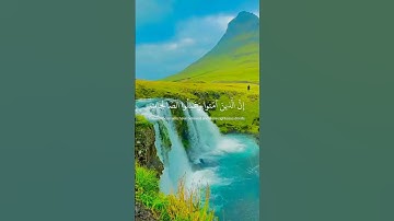 حالات واتس / قران كريم / وكلهم اتيه يوم القيامة فردا / راحه نفسيه