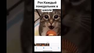 #мем