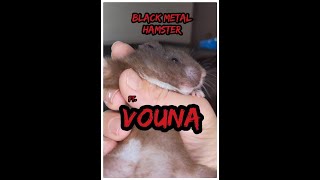 Black Metal Hamster: Deep Hovel Cleaning