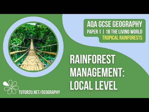 Rainforest Management: Local Level | AQA GCSE Geography | Unit 1B The Living World