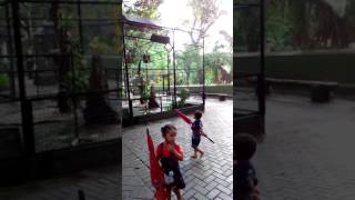 Download Lagu Bonbin gembiroloka MP3