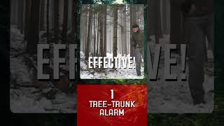 🚨 3 DIY Camp Alarms to Save Your Life! No Electronics! #survivalhacks  #campingtips  #DIYAlarms