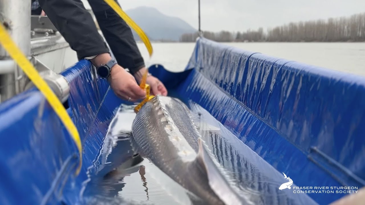 FRSCS Impact in Action