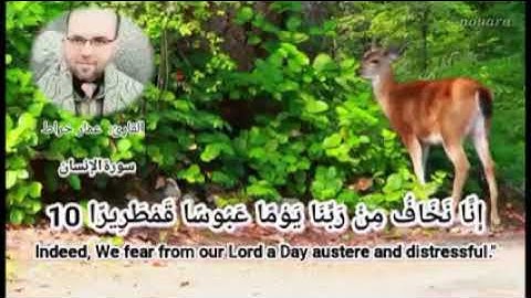 القارئ الشيخ عمار خراط                               من أجمل ما تسمع ما تيسر من سورة الإنسان