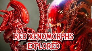 Red Xenomorph Origin - The Rebel Strain Of Xenomorphs Who Wanted To Eradicate The Original Creatures