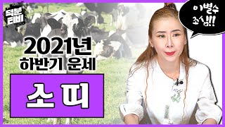 2021년 신축년 하반기 운세🐄소띠│이혼, 이별, 사별수 조심!! 삼재에 아홉수까지 있는 소띠는 언제쯤 숨 돌릴 수 있나요??