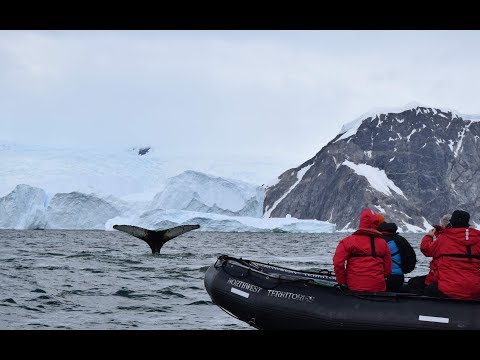 Video: L'Antartide Era Precedentemente Abitata - Visualizzazione Alternativa