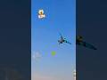 Sparrow Kite Fight Challenge 😜