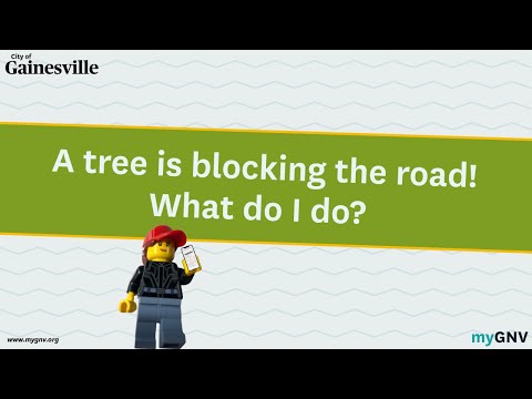 How to report a fallen tree on the myGNV app