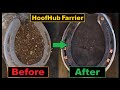 Hoofhub farrier  very satisfying  hoof restoration