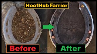 HoofHub farrier * Very Satisfying * Hoof Restoration