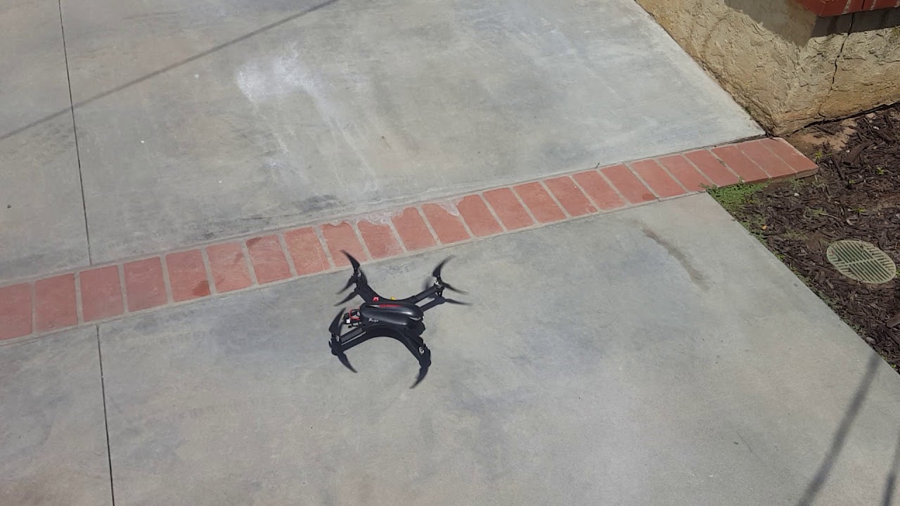 Bugs 3 going to moth balls! YouTube