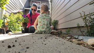 2024 Garden planting with Papa