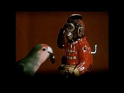 Miniature de la vidéo
