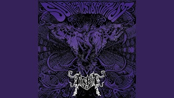 Psychonautikkch Paradigma