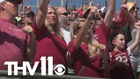 Razorback fans divided over Pittman's exit, hopeful with Petrino's return