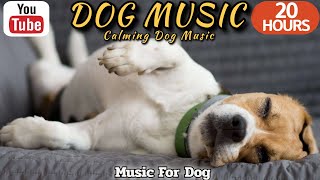 20 HOURS of Dog Calming Music🦮💖stressed dog🐶🎵Anti Separation Anxiety Relief Music⭐Healingmate by HealingMate - Dog Music 49,245 views 2 weeks ago 20 hours