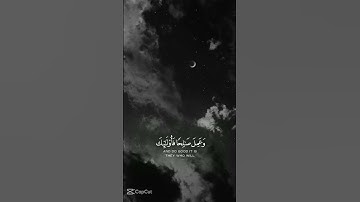 تلاوة من سورة مريم بصوت وديع اليمني #viral #viralvideo #video
