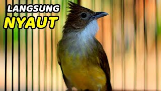 KAPAS TEMBAK GACOR DOR FULL TEMBAKAN TERBARU 2026 #kapastembak