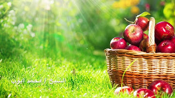 محمد أيوب سورة غافر