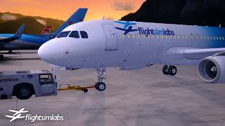 Frooglesim News - November 5 2017