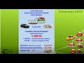 Такие разные  АВТО программы MAGIC LIME ACADEMY