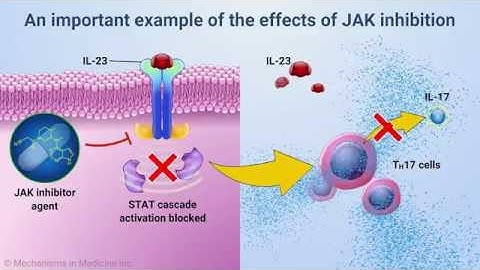 Medical Narration: Mechanism of Action of JAK Inhibitors - VO by Rory O