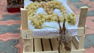 видео: Древний способ хранения Винограда!!!Фергана!!!Узбекистан!!! картинка: Древний способ хранения Винограда!!!Фергана!!!Узбекистан!!!