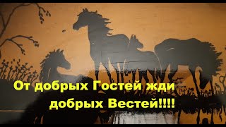 видео: От добрых гостей жди добрых вестей картинка: От добрых гостей жди добрых вестей