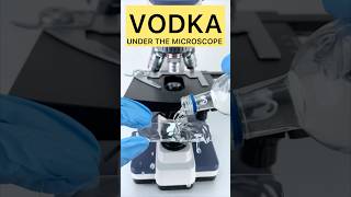 Under The Microscope Vodka Vodka The Real Rave