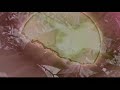 Sparklehorse - Please Don't Take My Sunshine Away