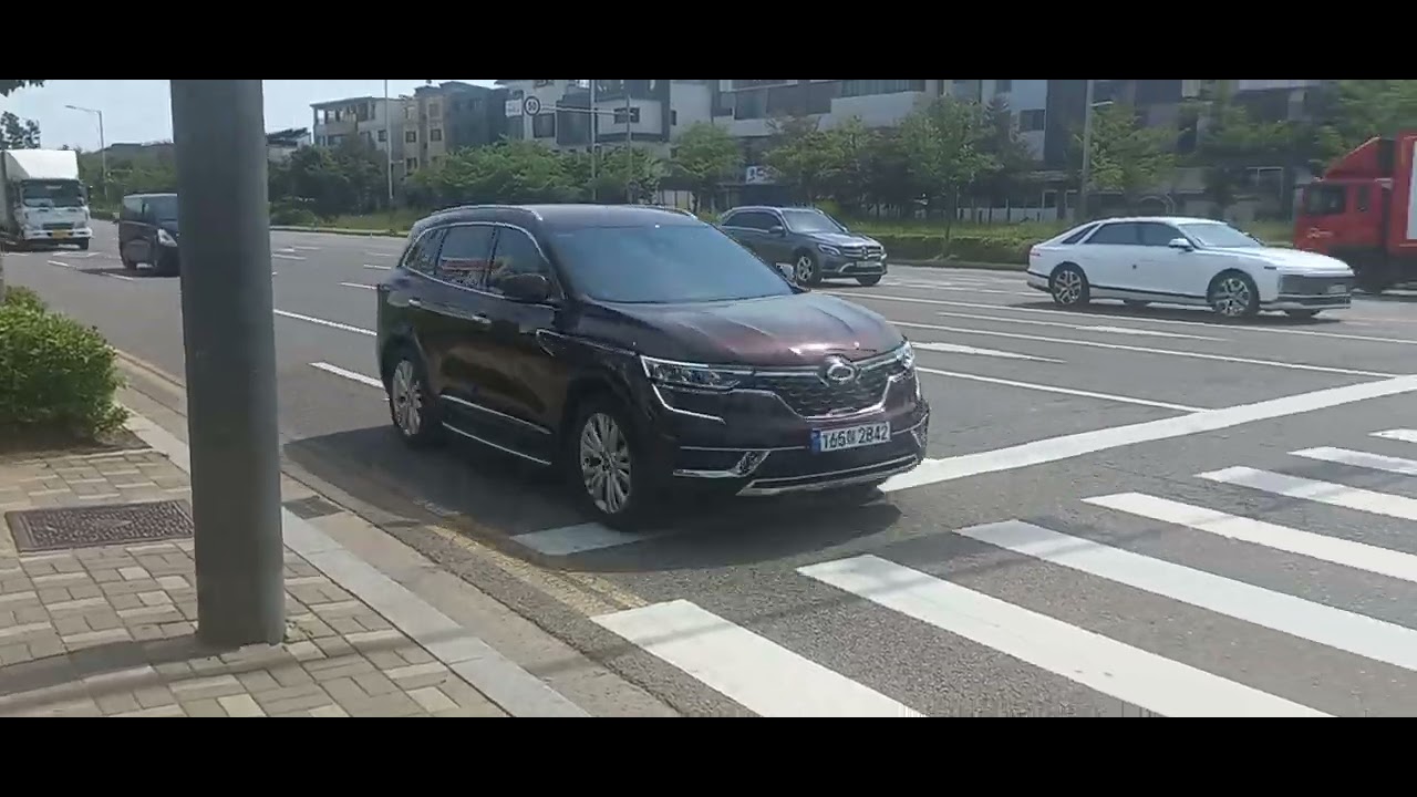 양 - YouTube