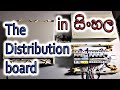 The distribution board and its main components in Sinhala