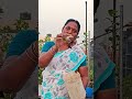 களி#மண்#south #garden #organic #plants #nursery #mixpotting #soil #delhi #shorts #youtubeshorts