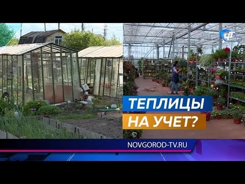 В Росреестре успокаивают дачников: регистрировать надо не все теплицы