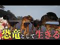 【The Isle/ゆっくり実況】強化されたディロフォサウルスで相手をブラックアウトさせに行く【ザアイル/theisle】