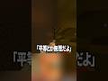 「小学生に教えられてしまった先生」の話 #shorts #shortvideo #マイクラ #マインクラフト #ゲーム実況 #三島レン