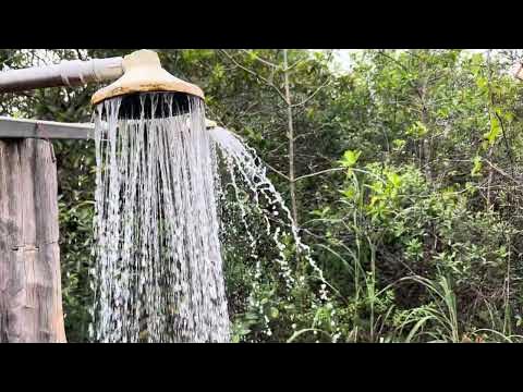 Mast ayolni uysizlar sikishadi