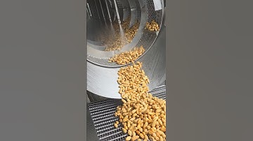 🌰 MÁY RỬA LỒNG XOAY - RỬA LẠC – TECH GARDEN. 📞 Zalo/WhatsApp: +84 935 911 775 (Trần Trinh)m