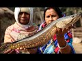 Shol Fish Handi Recipe | Kadai Shol | Shol Fish Curry Cooking by our Grandmother and my Mother