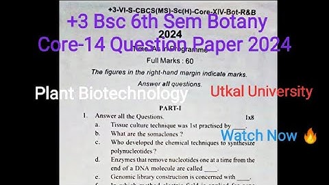 +3 BSc 6th Sem Botany Honours Core-14 (Plant Biotechnology) Question Paper 2024 | Utkal University