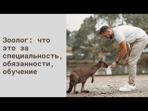 Видео: Зоолог Зарплата