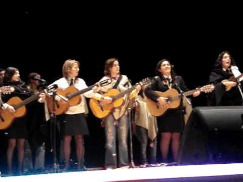 Adufótuna XI Fituin Vinho 