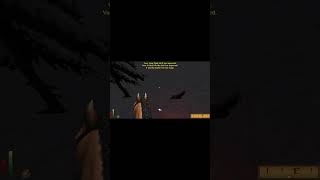 This Is What 1,000 Hours of Daggerfall Looks Like #daggerfall #gaming #elderscrolls #games #rpg