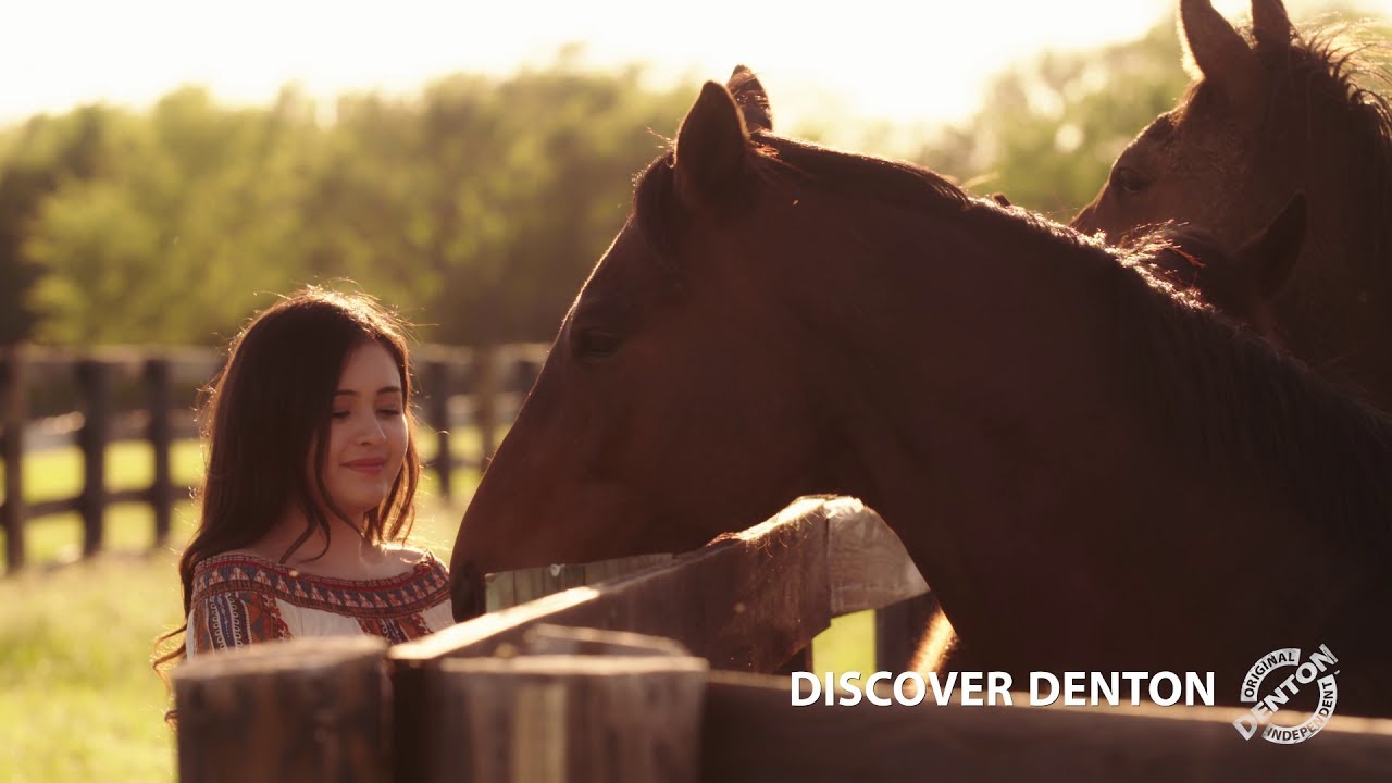 Discover Denton Meet the horses of the North Texas Horse Country