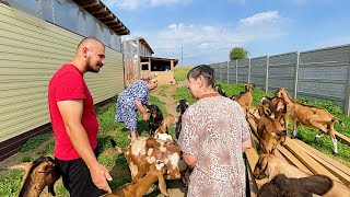 БАБУШКИ ПРИЕХАЛИ УЧИТЬ НАС ВЕСТИ ХОЗЯЙСТВО! НАША ФЕРМА! ЖИЗНЬ ПРОСТЫХ ЛЮДЕЙ В ДЕРЕВНЕ!